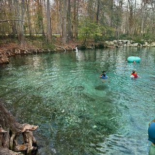 佛州小众仙境之旅：天然泉、湿地、wild...