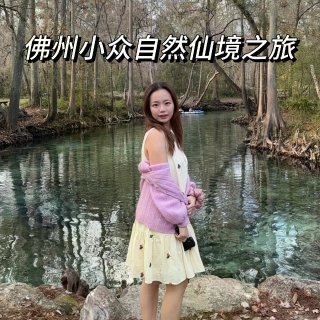 佛州小众仙境之旅：天然泉、湿地、wild...