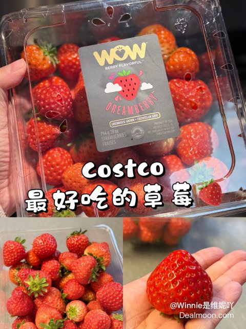 Costco发现最好吃的草莓🍓