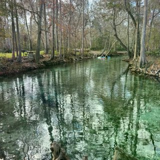 佛州小众仙境之旅：天然泉、湿地、wild...