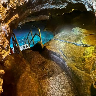 佛州小众仙境之旅：天然泉、湿地、wild...