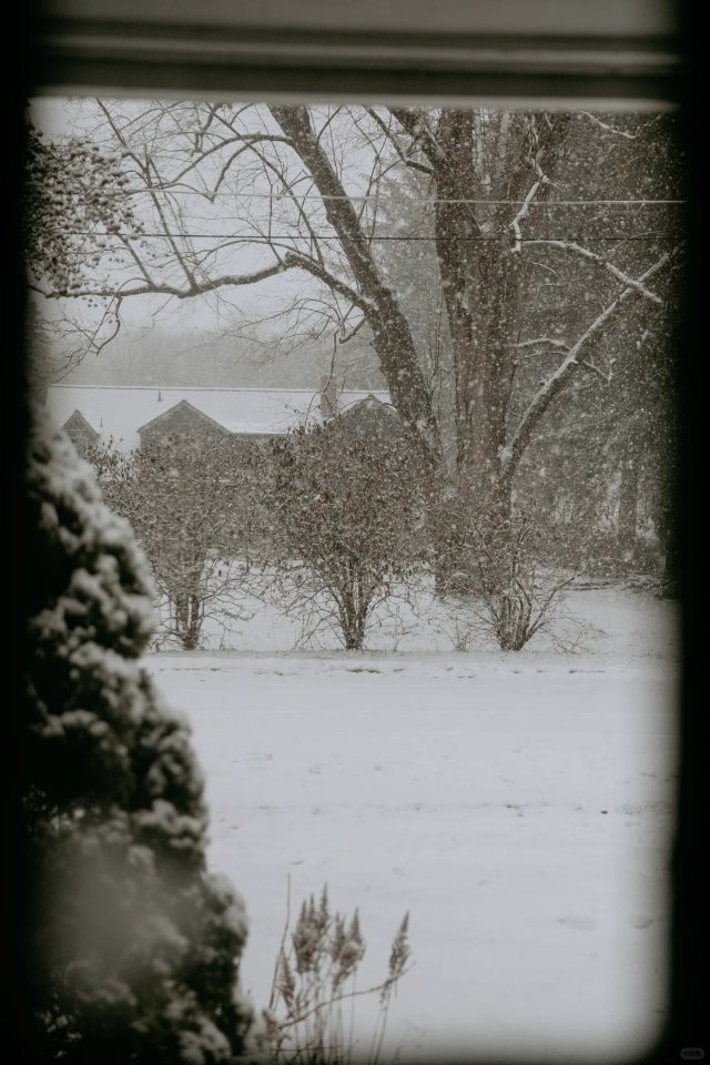 纽约上州雪｜浮光掠影的生活，借个火...
