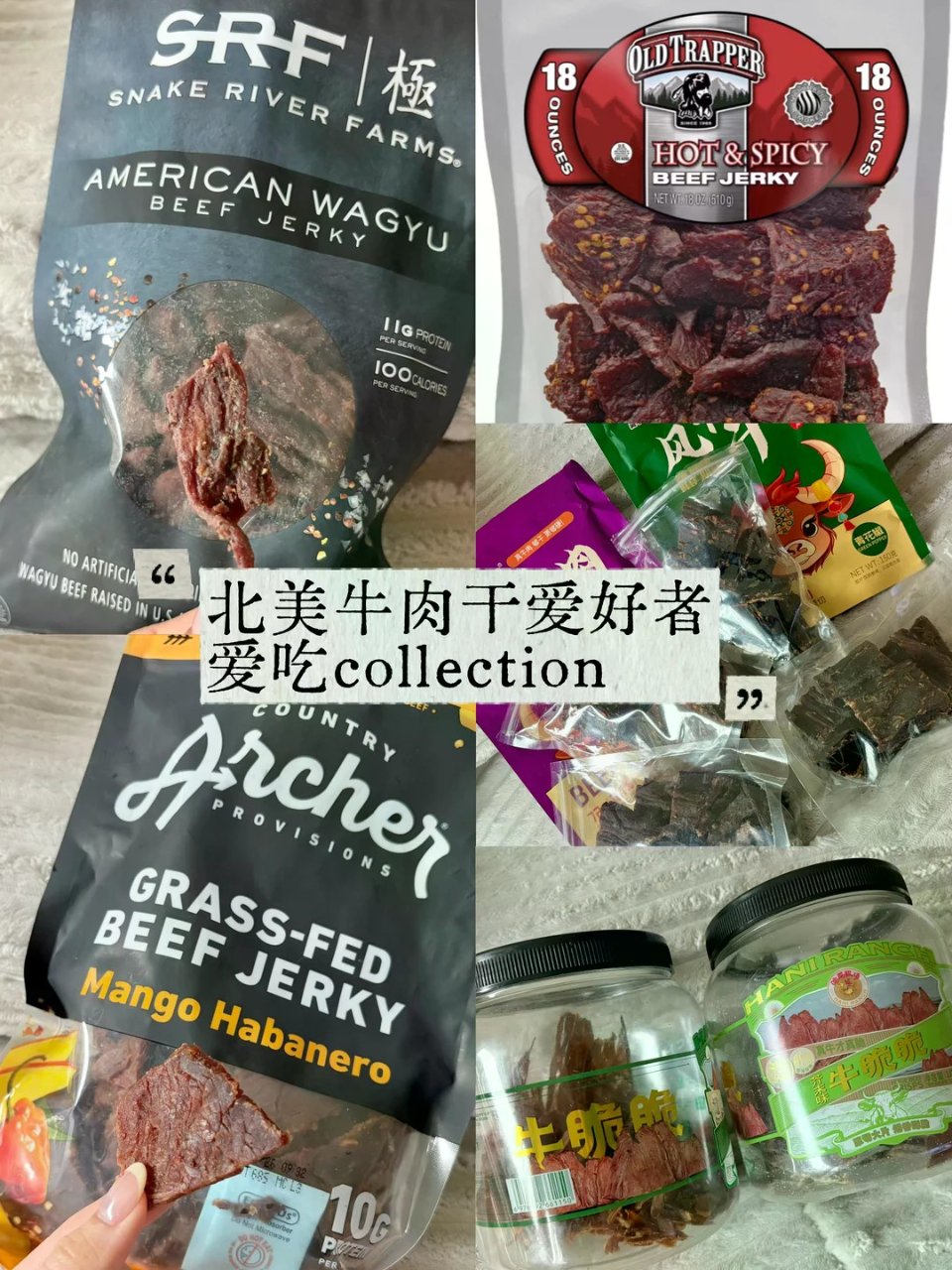 北美求推牛肉干...