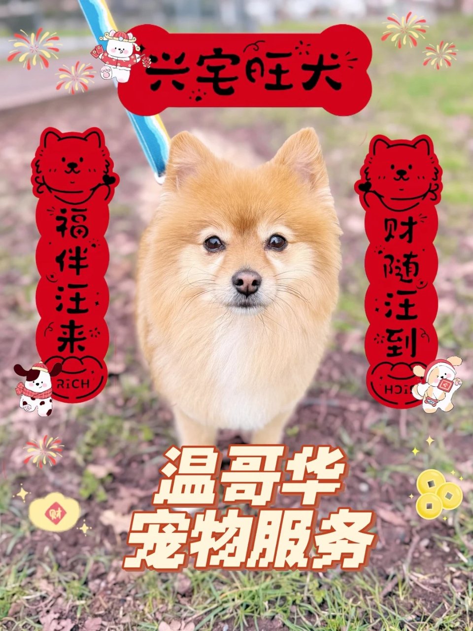 🇺🇸西雅图｜北上温哥华-修狗宠物美容🐶...