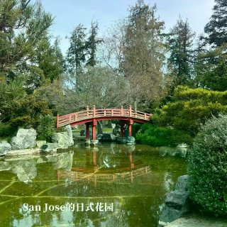 爸妈来湾区旅游的坠高礼遇（附行程单...