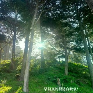爸妈来湾区旅游的坠高礼遇（附行程单...