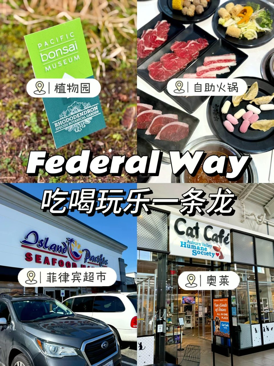 🇺🇸西雅图｜Federal Way吸氧火...