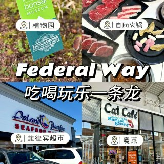 🇺🇸西雅图｜Federal Way吸氧火...