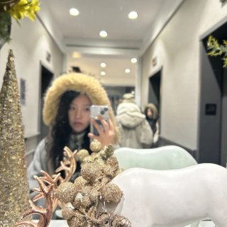 纽约冬日抗冻合集🧾...