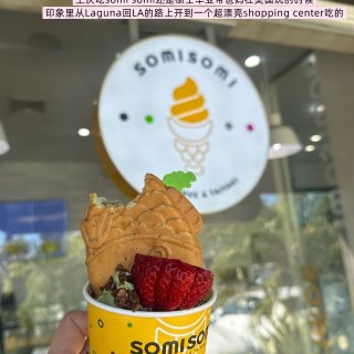 San Diego🪻 | 博士生春假之纽...