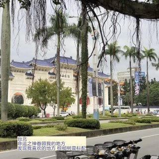 身强壬水女喜欢的城市排行...