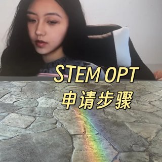 🇺🇸Initial OPT → STEM...