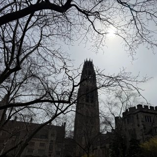 Yale Visit Day