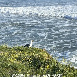 爸妈来湾区旅游的坠高礼遇（附行程单...