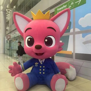 🇺🇸打工人PTO回国休假 ✨｜🇰🇷Seo...