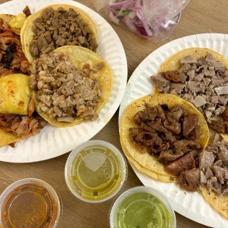 bellevue无踩雷taco/isar...