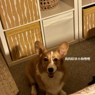 🇺🇸出来留学的这个家是我从毛胚房拼的...