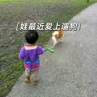 🇺🇸西雅图｜北上温哥华-修狗宠物美容🐶...