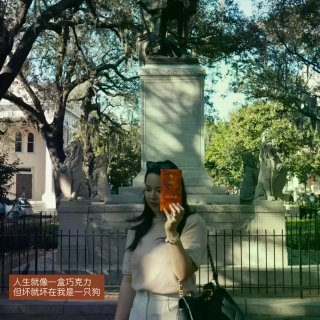Savannah 不如去理解一棵树...