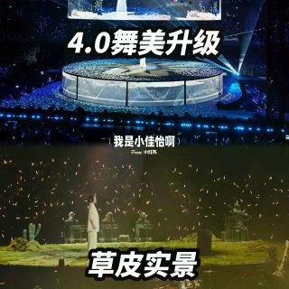 谁的演唱会 list里有刘若英！举个手🙋...
