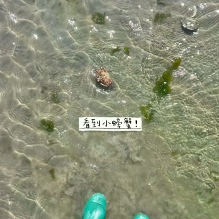 被赶海挖生蚝+BBQ占满的周末🦪...