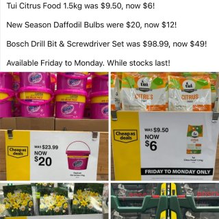 🇳🇿 Mitre10捡漏！博世工具套装直...