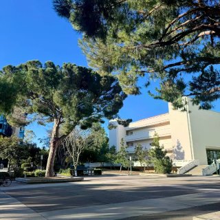 🇺🇸UCI加州大学｜学姐惨烈就读体验（2）