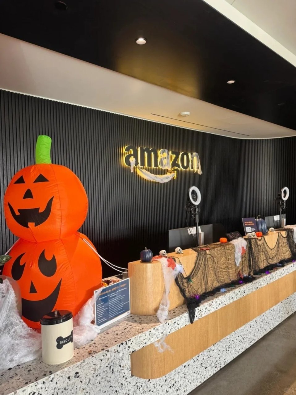 us Amazon AS VO复盘，BQ...