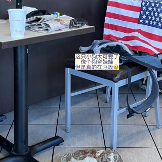 在湾区打工差点丧失幸福感官（自救版...