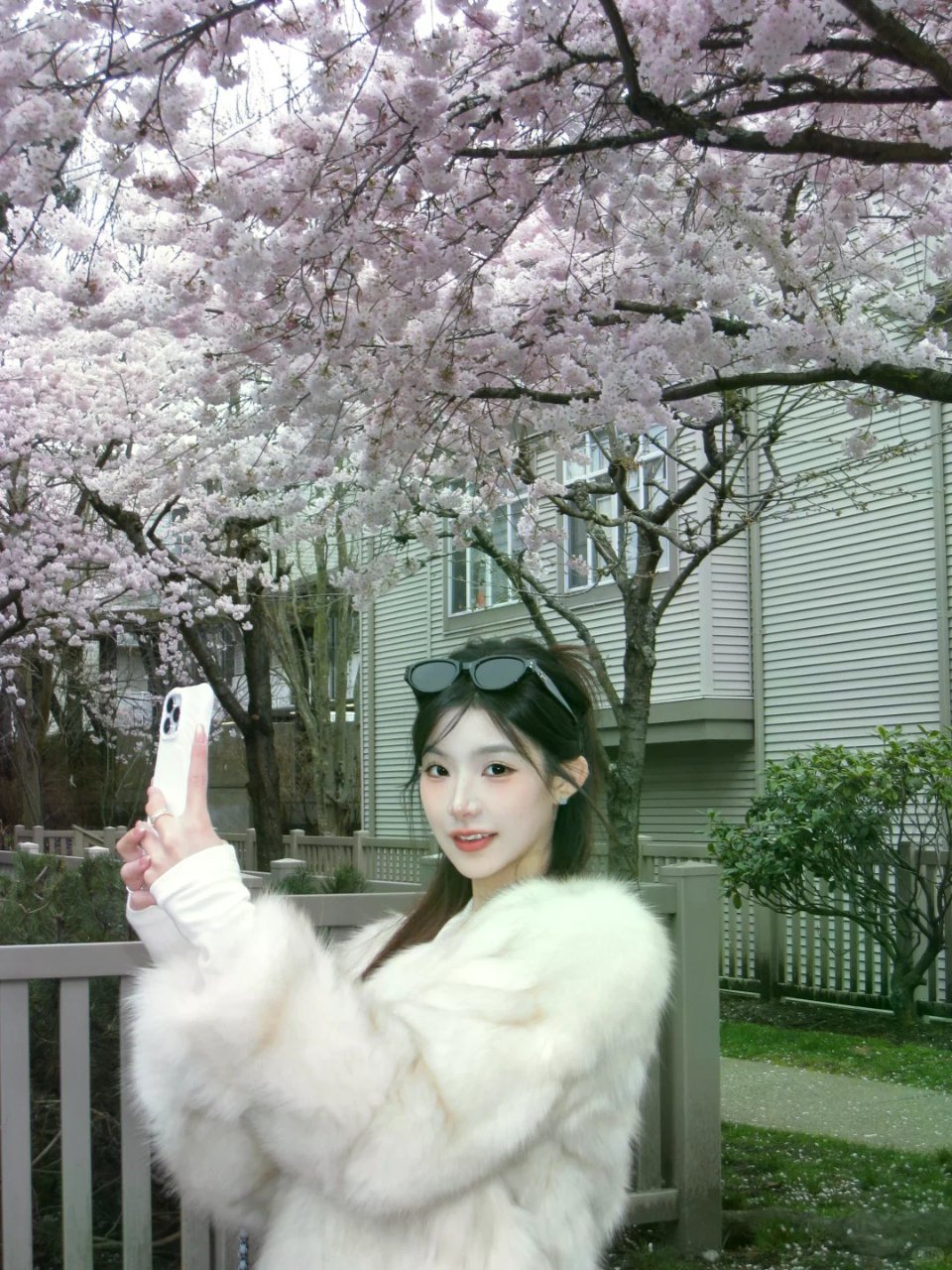 温哥华的樱花你美🌸...