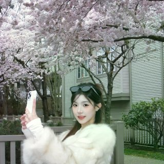 温哥华的樱花你美🌸...