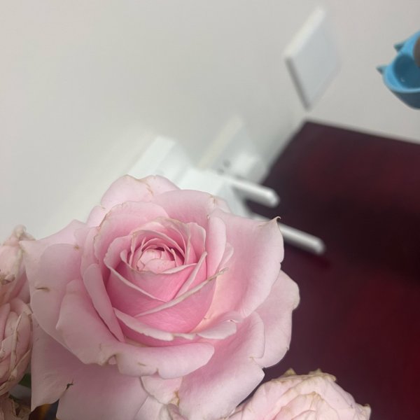 笔记图片