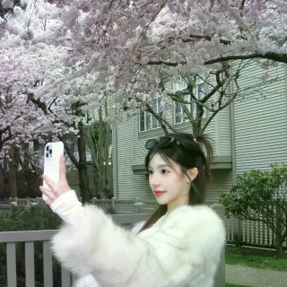 温哥华的樱花你美🌸...
