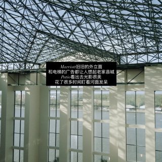 Savannah 不如去理解一棵树...