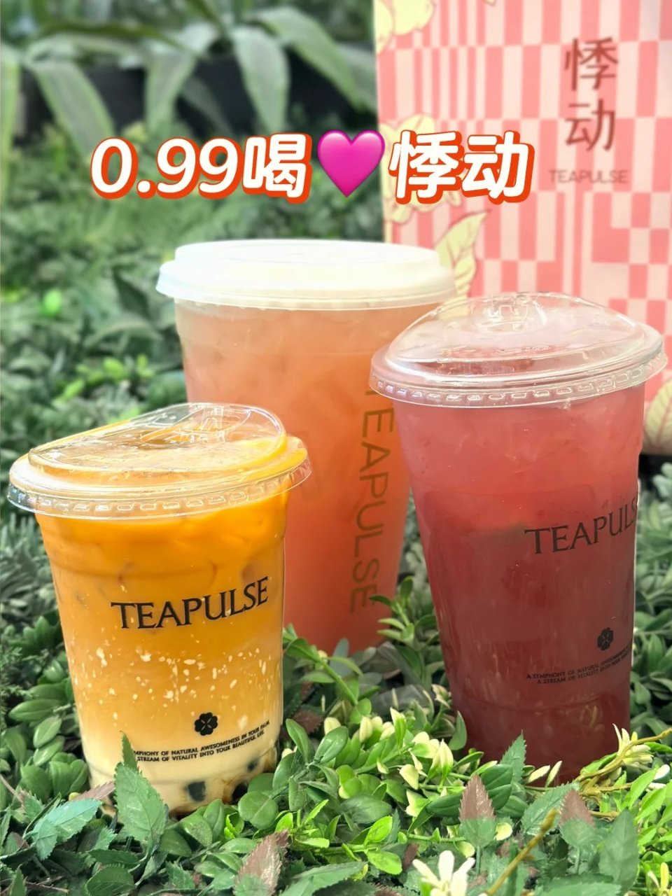 春风拂面🩷0.99喝悸动...