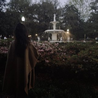 Savannah 不如去理解一棵树...