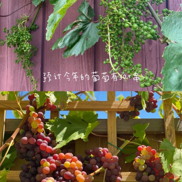 笔记图片