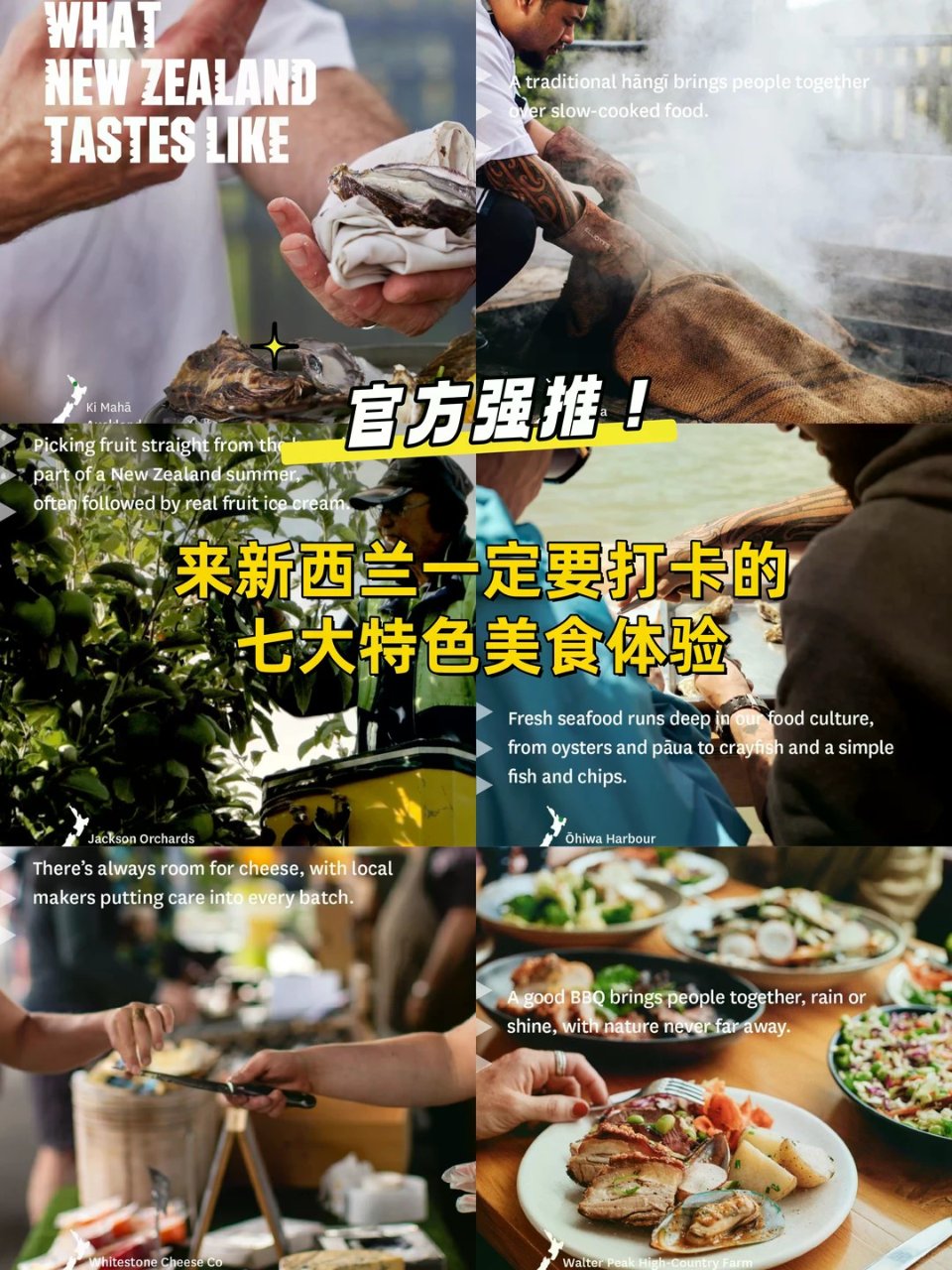 来新西兰一定要打卡！盘点七处特色美食体验...