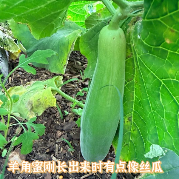 笔记图片