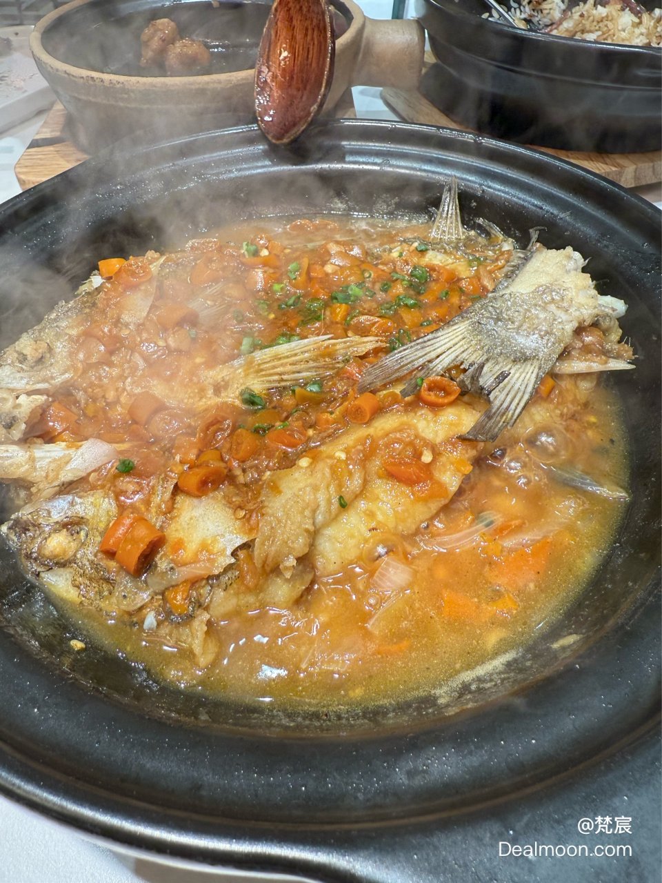 探店小能手