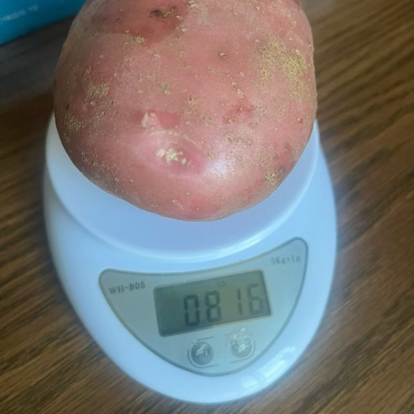 笔记图片