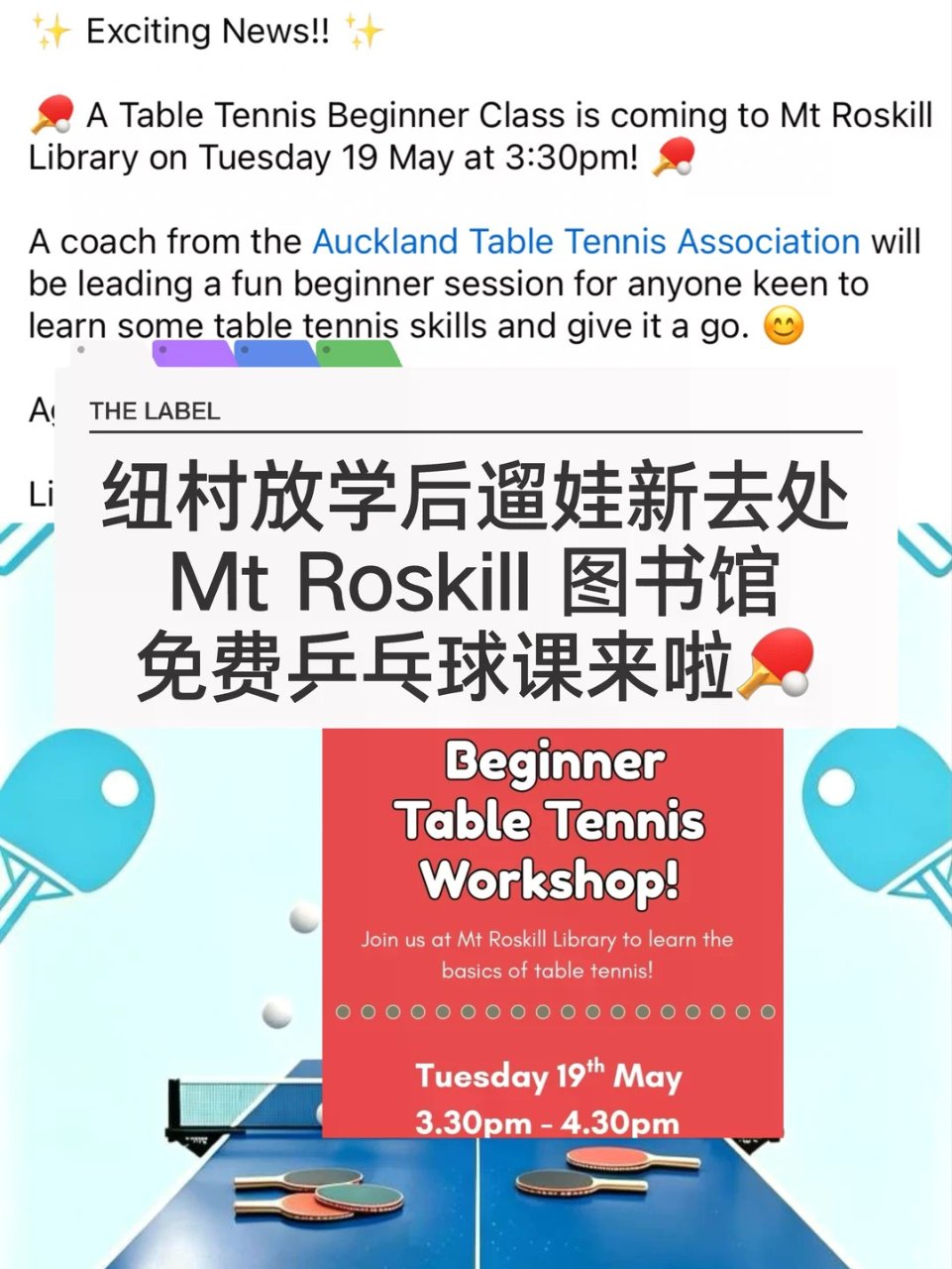 🇳🇿纽村遛娃 免费桌球课！新手友好！6+...