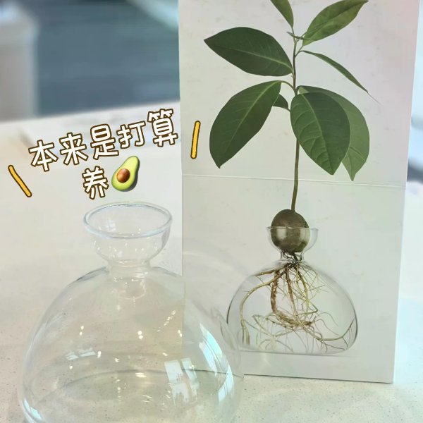笔记图片
