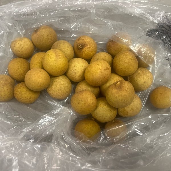 笔记图片