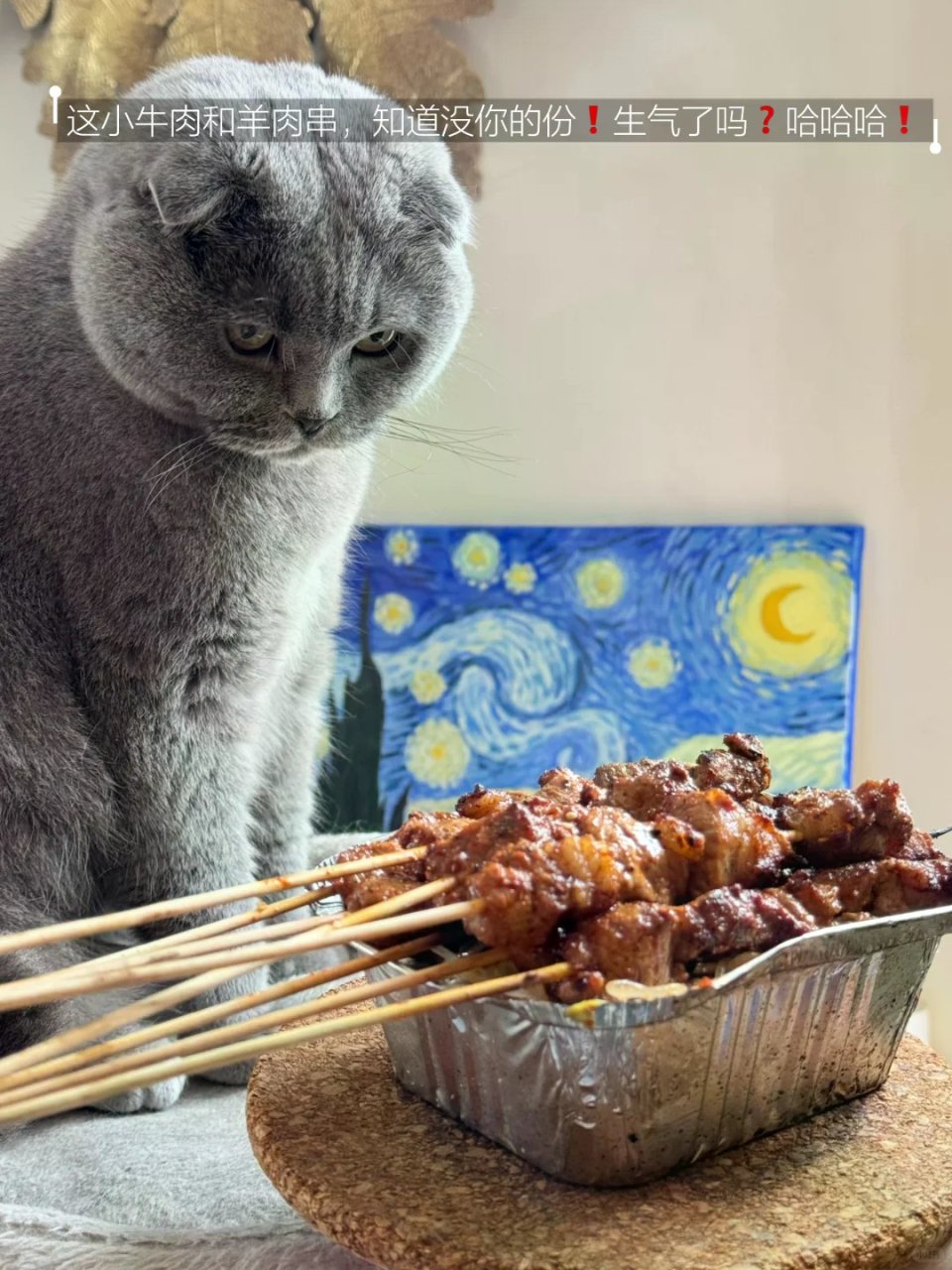 大巴黎78庭院炭火烧烤，和英短蓝猫一起尝...