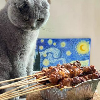 大巴黎78庭院炭火烧烤，和英短蓝猫一起尝...