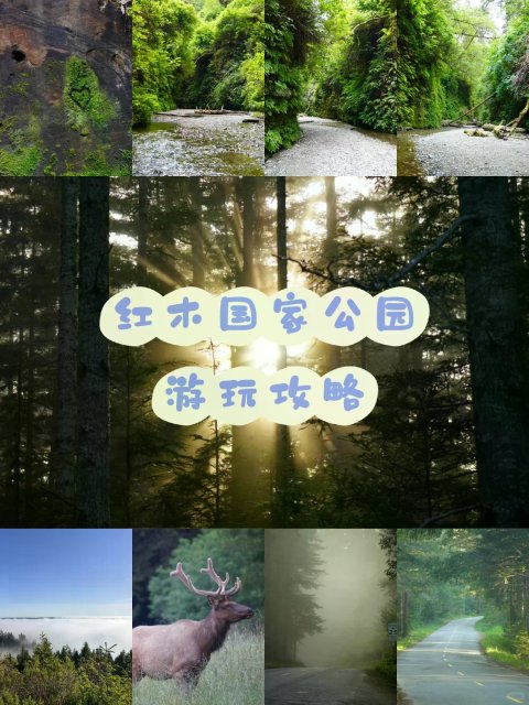 红木国家公园游玩攻略和评价
