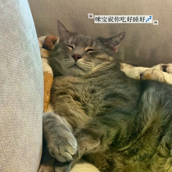 笔记图片
