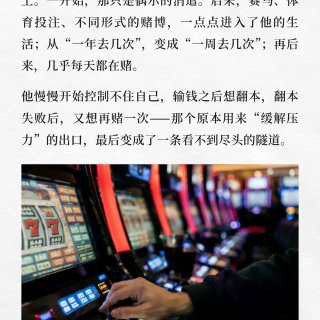 全家移民新西兰，却因为“它”妻离子散……...
