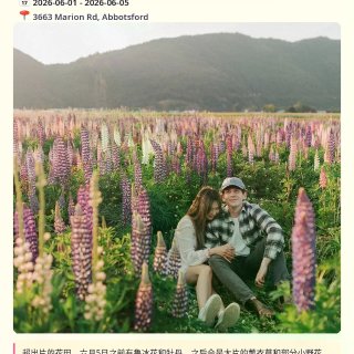 温哥华六月活动地图🔥世界杯+各种狂欢节日...